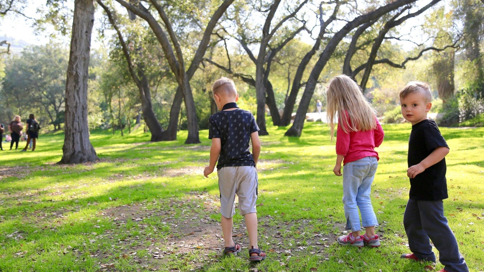Descanso Gardens